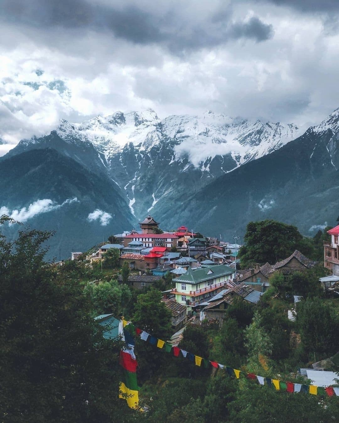 Himachal Trips